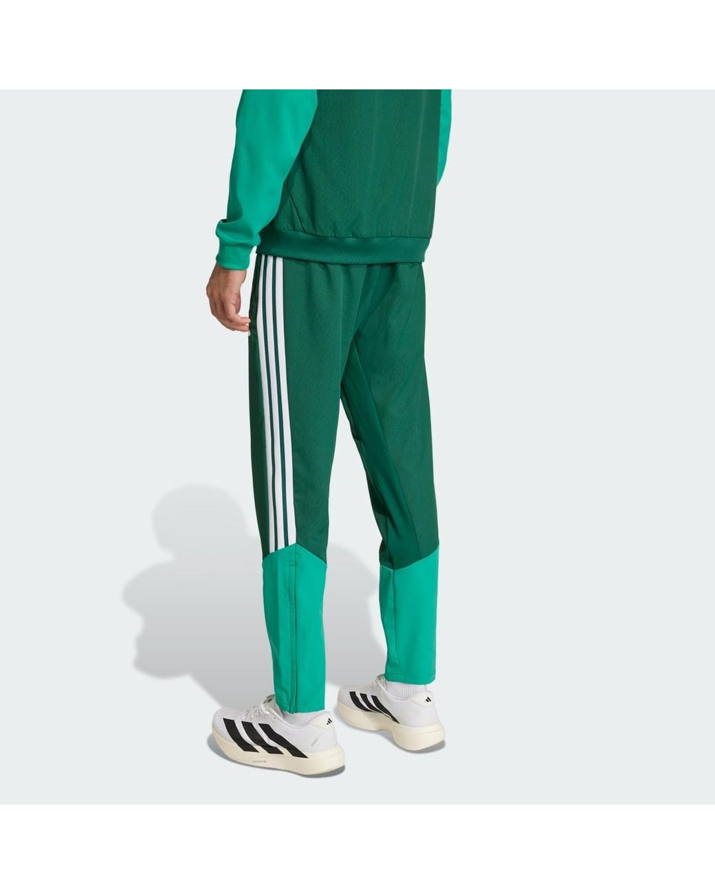 Adidas Green Algeria 26 Presentation Tracksuit Bottoms for men
