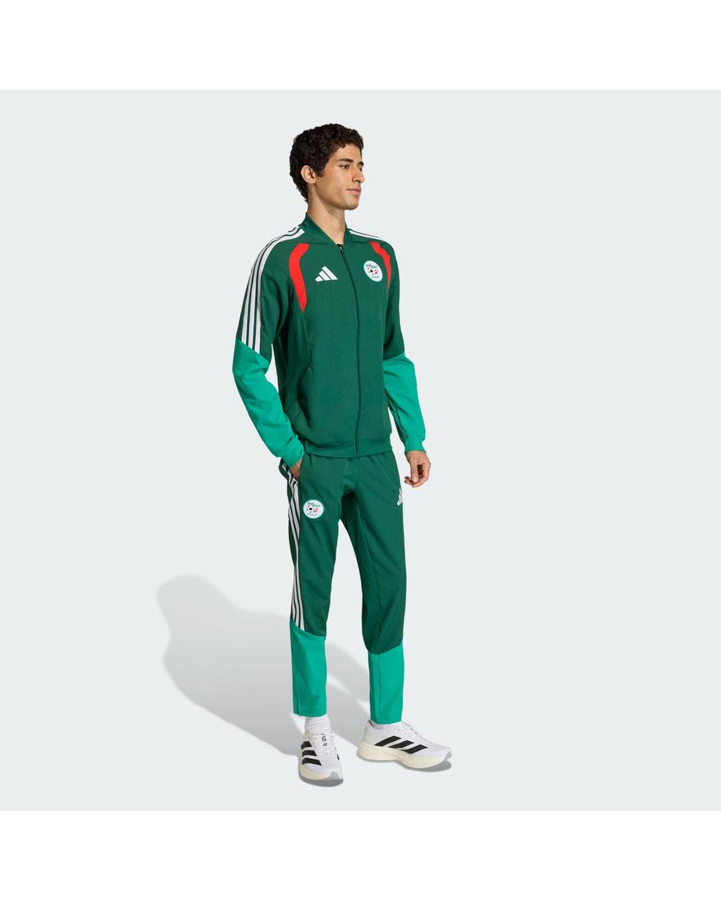 Adidas Green Algeria 26 Presentation Tracksuit Bottoms for men