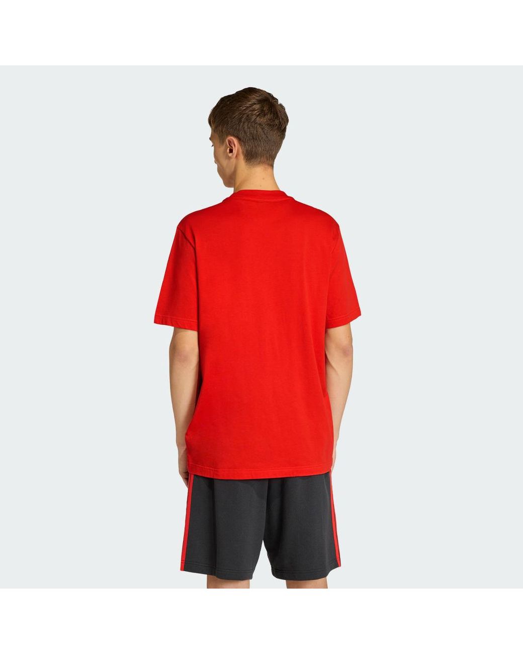 Adidas Originals Red Belgium Dna Graphic T-Shirt for men