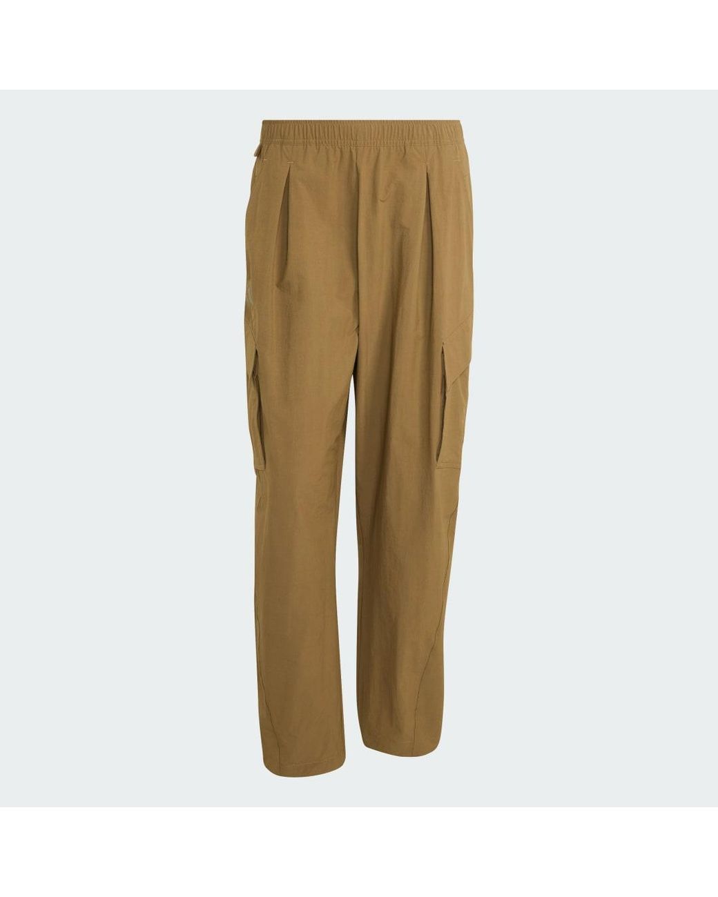 Adidas Natural Terrex Xploric Clima365 Cargo Pants for men