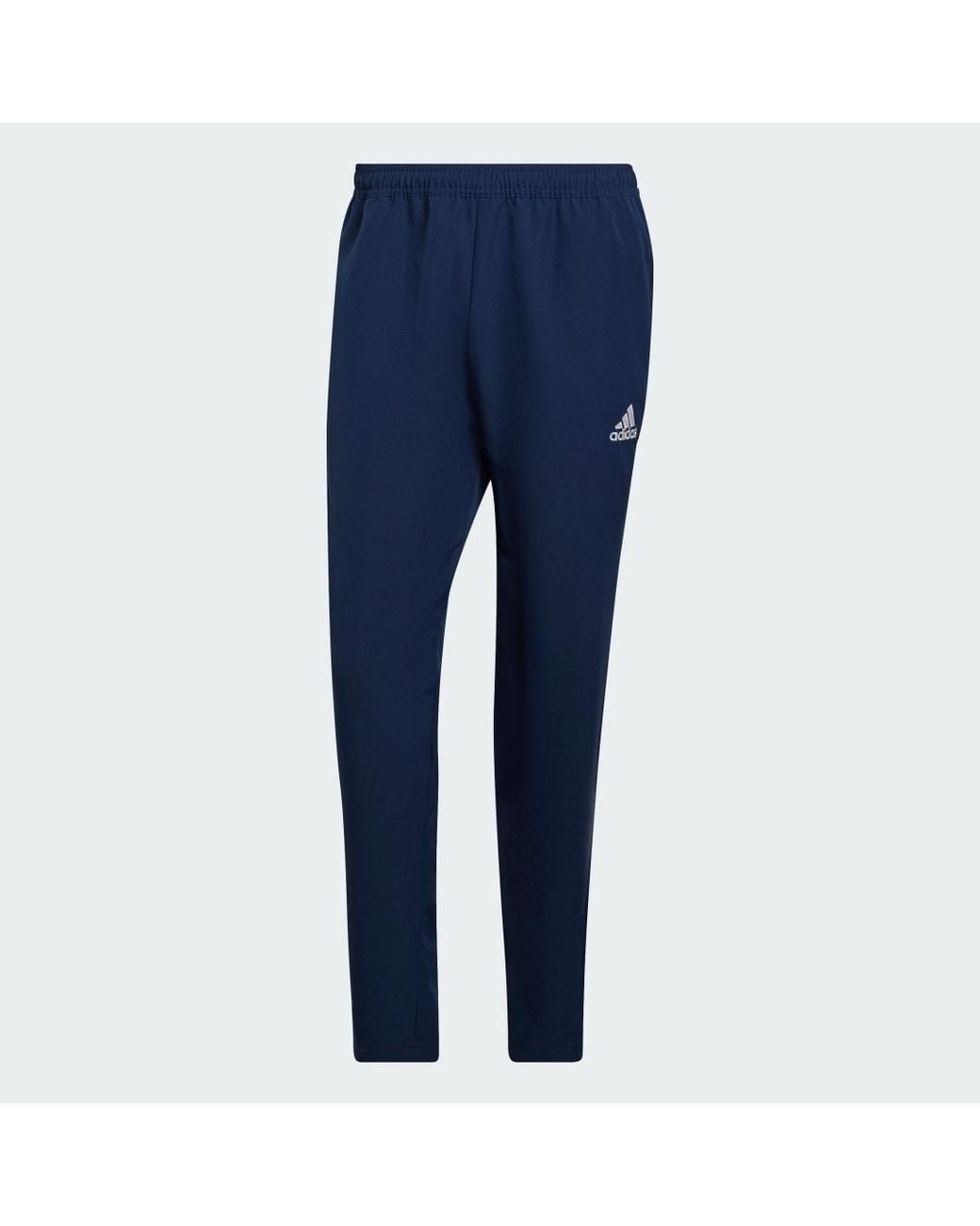 Adidas Blue Entrada 22 Presentation Pants for men