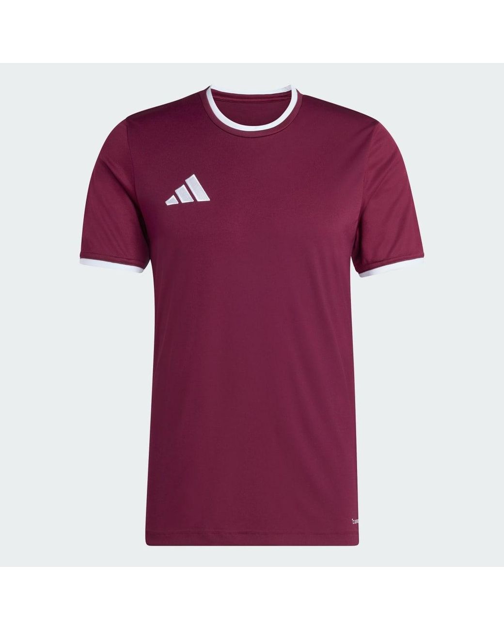 Adidas Purple Entrada26 Jersey for men