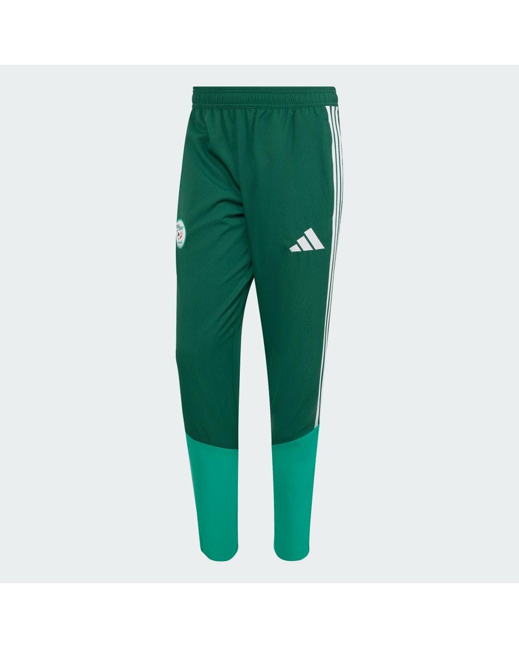 Adidas Green Algeria 26 Presentation Tracksuit Bottoms for men