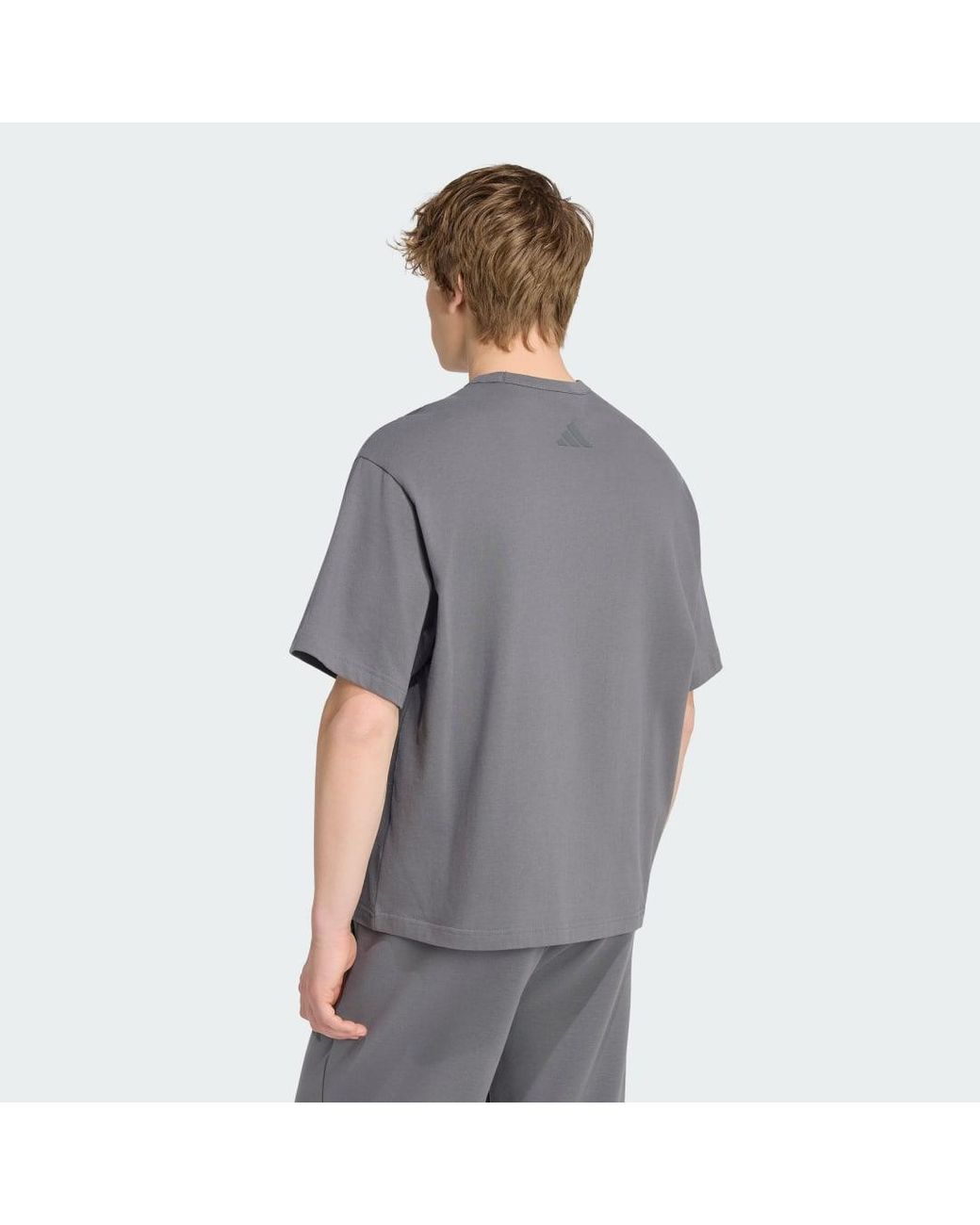 Adidas Originals Gray Soft Lux Graphic T-Shirt for men