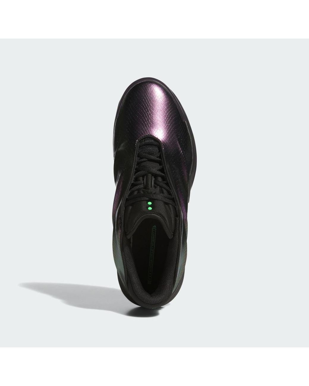 Adidas Multicolor Crazy Energy + Shoes