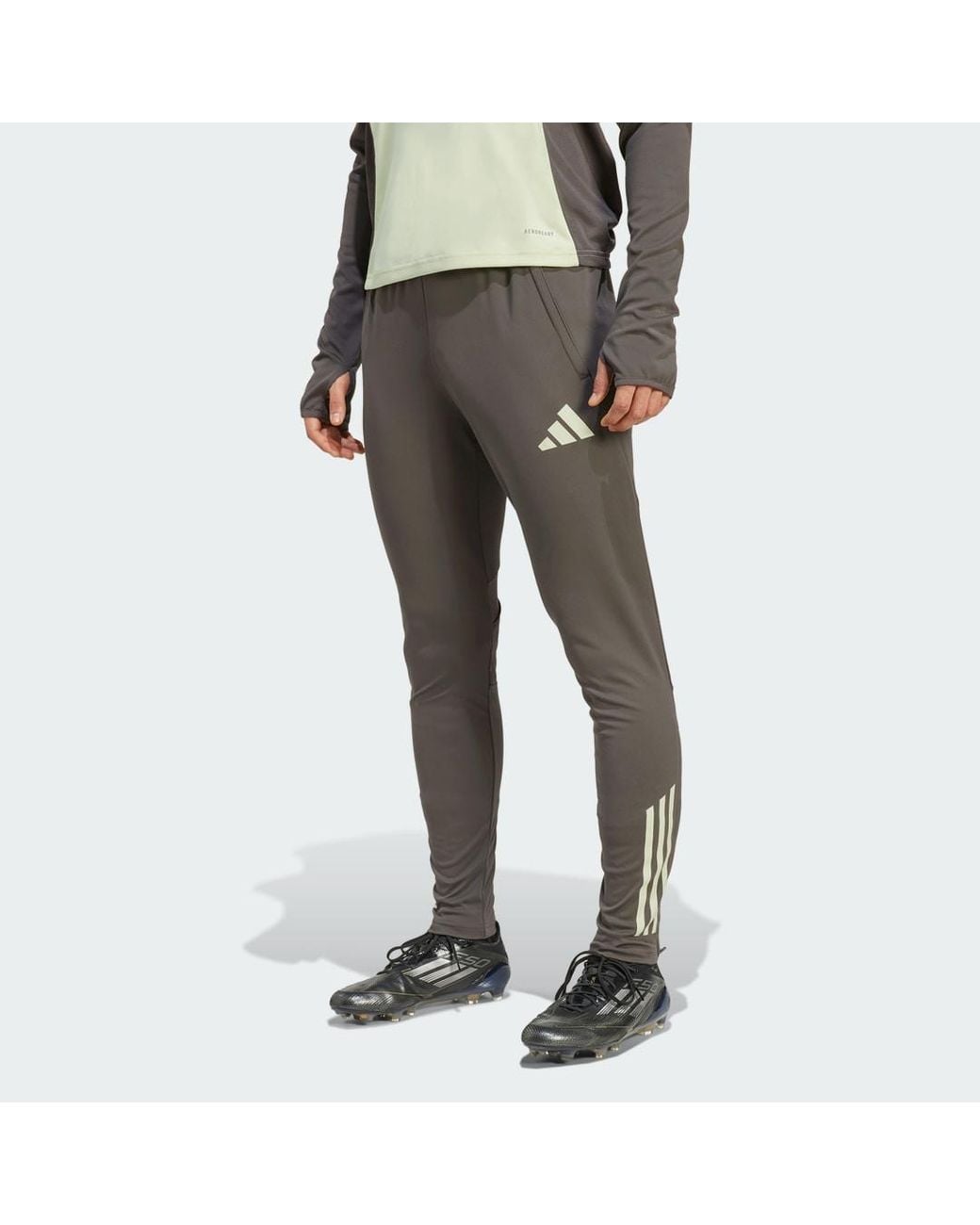 Adidas Real Madrid Tiro 25 Competition Trainingshose in Gray für Herren