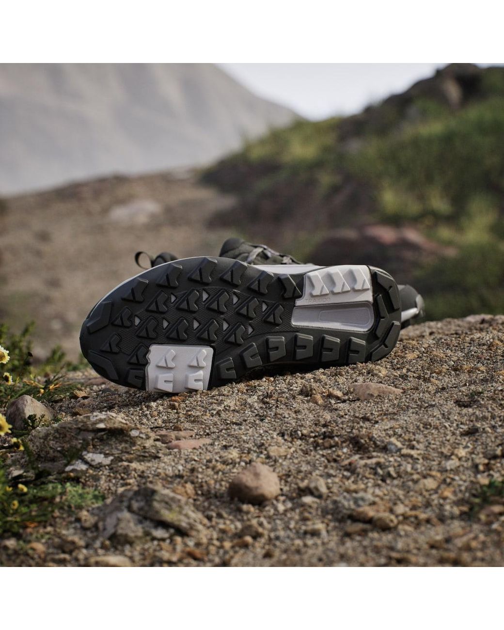 Adidas Multicolor Terrex Anylander Hiking Shoes
