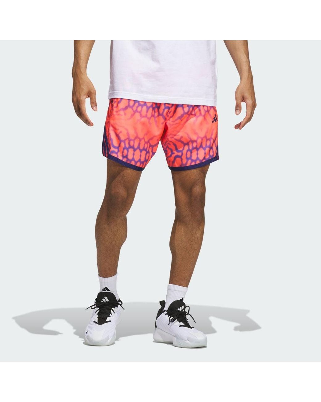 Adidas Pink Crazylite Graphic Short for men