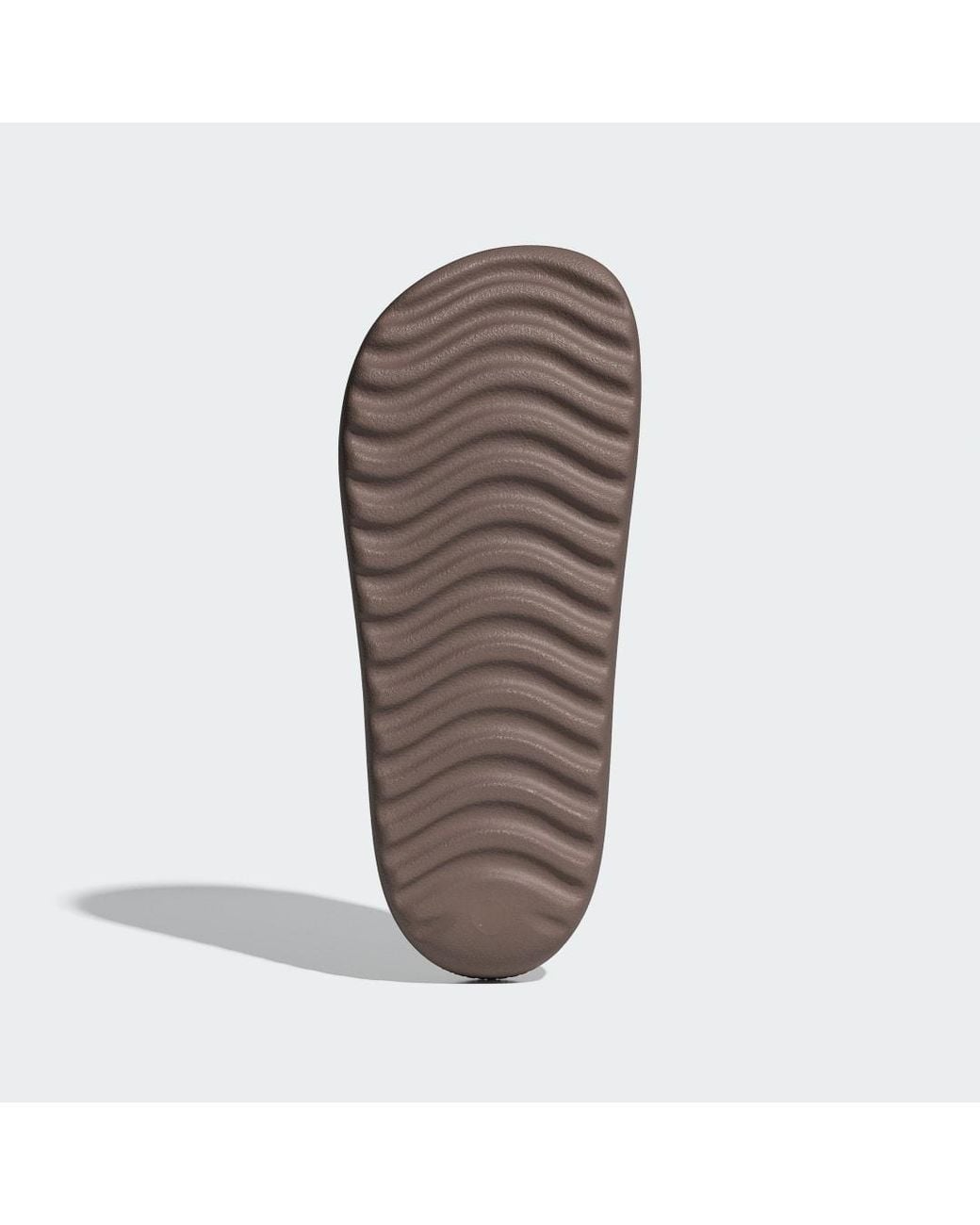 Adidas Brown Adilette Lumia Slides