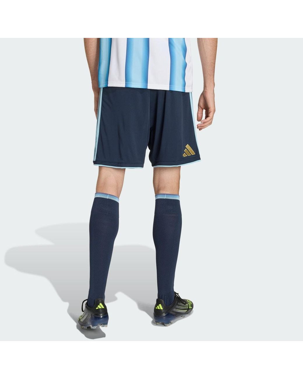 Adidas Blue Football Argentina 26 Home Replica Shorts Jm1325 for men
