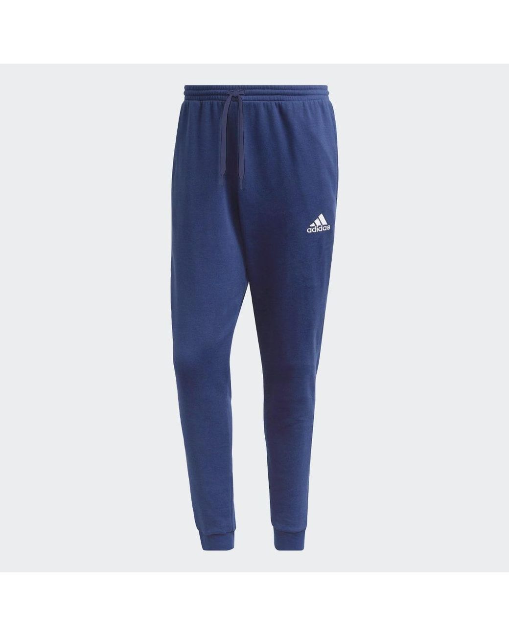 Adidas Blue Entrada 22 Sweat Tracksuit Bottoms for men