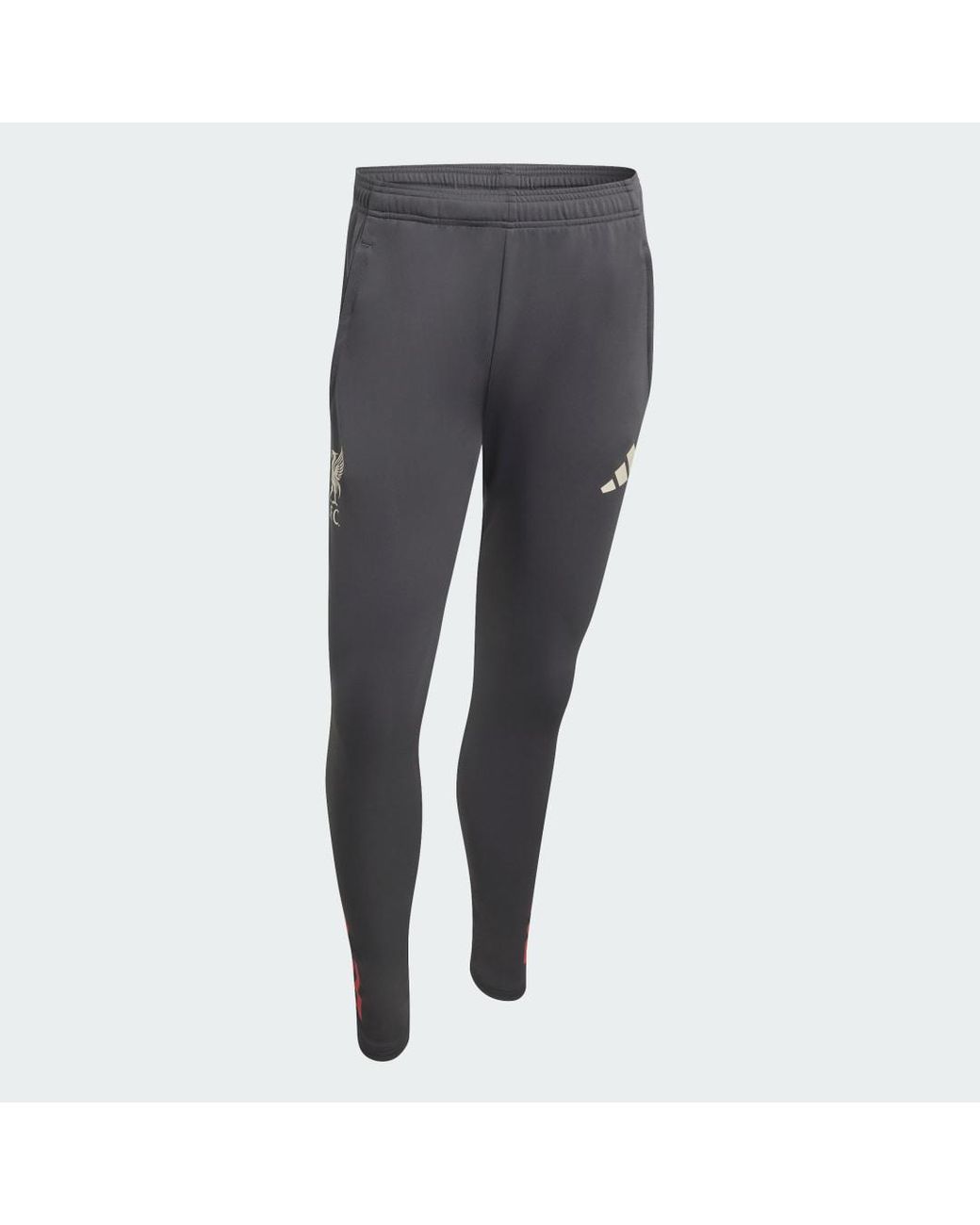 Adidas Red Liverpool Fc Tiro 25 Competition Training Pants for men