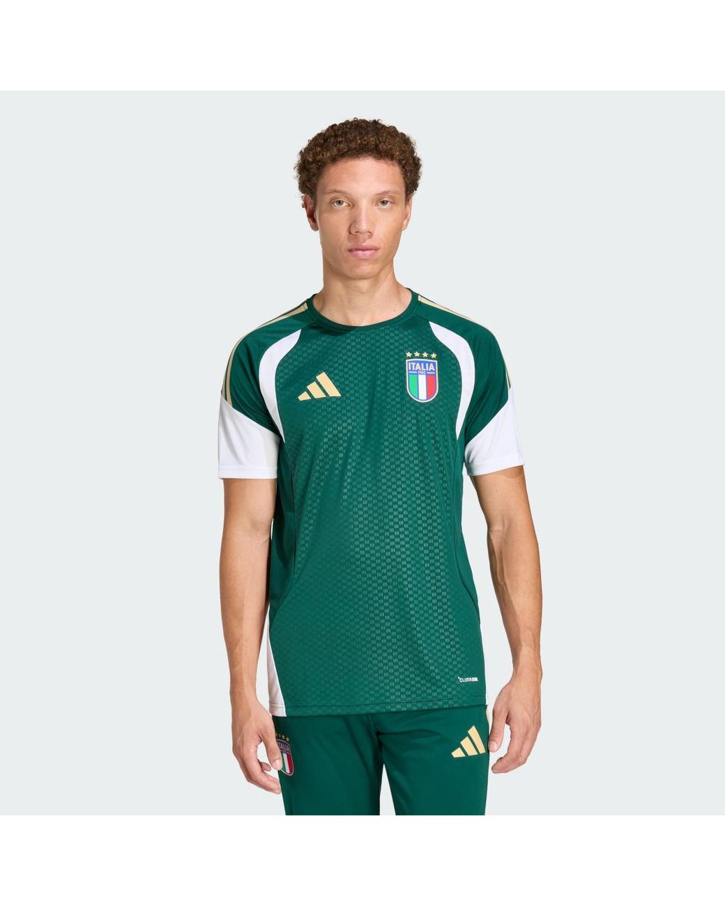 Adidas Green Italy 26 Tiro Training Jersey for men