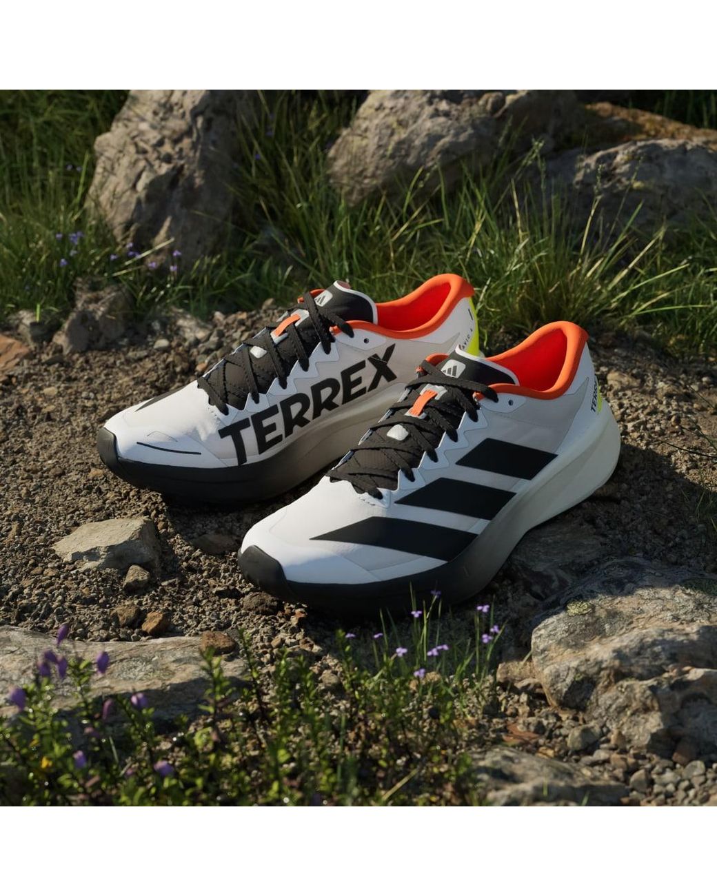 Adidas White Terrex Agravic 4 Trail Running Shoes for men