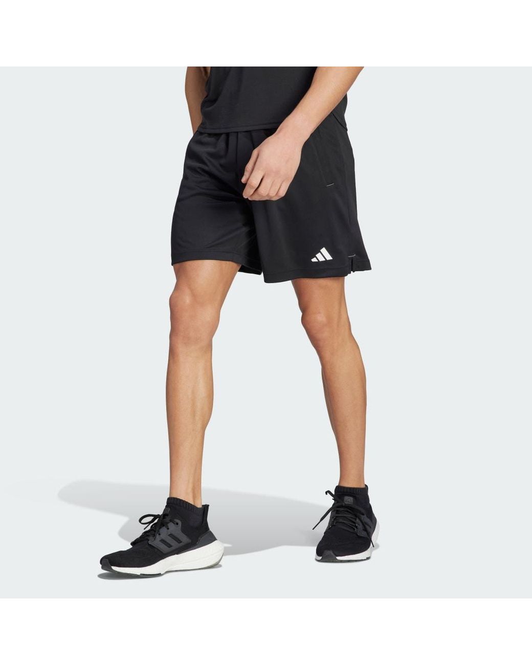 adidas Train Essentials Seasonal Camo Shorts in Schwarz für Herren | Lyst AT