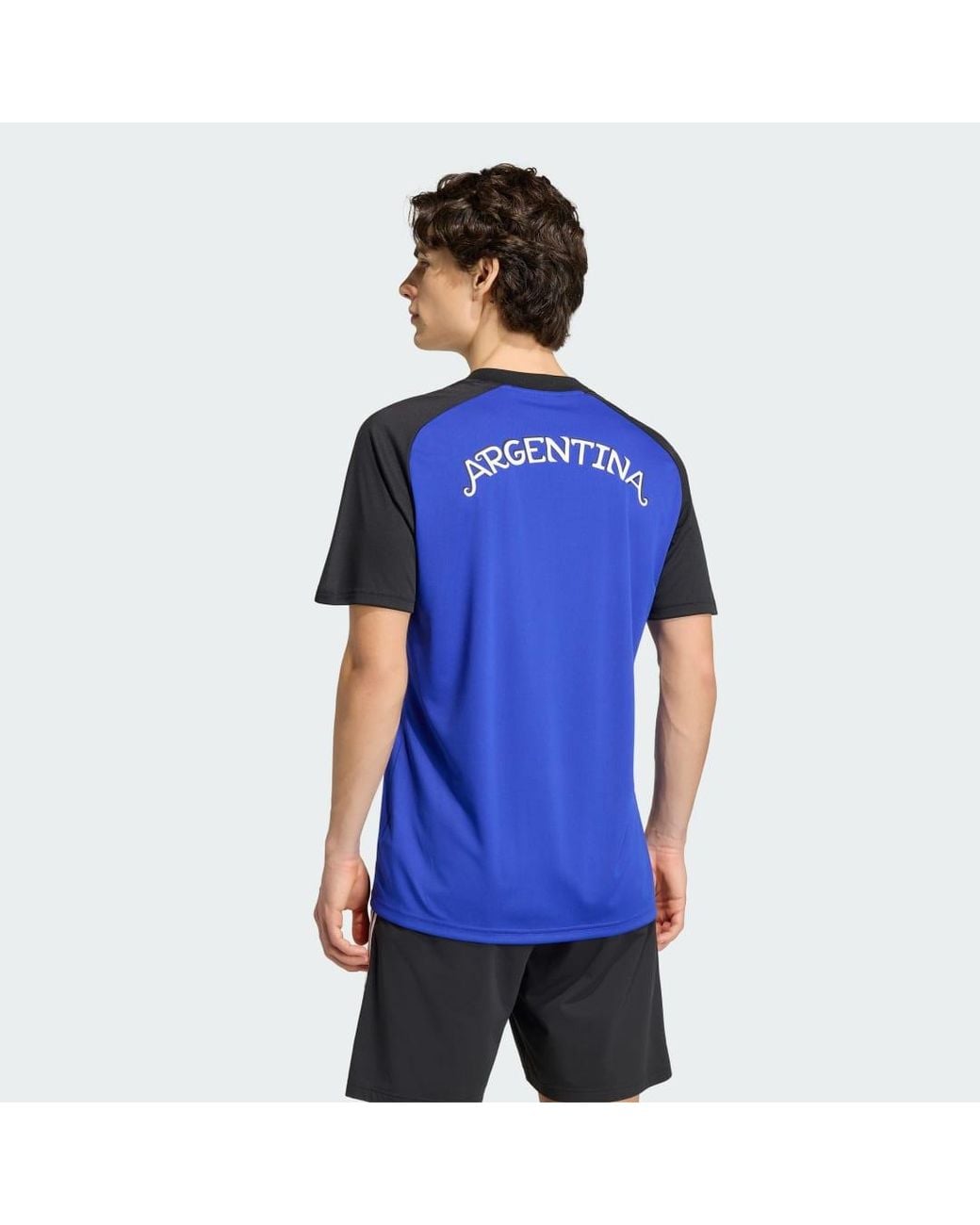 Adidas Blue Argentina National Team 2026 Pre-Match Top for men