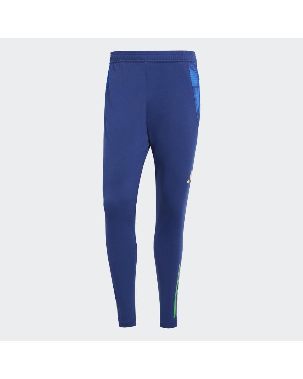 Adidas Blue Italy Tiro 24 Competition Training Pants for men