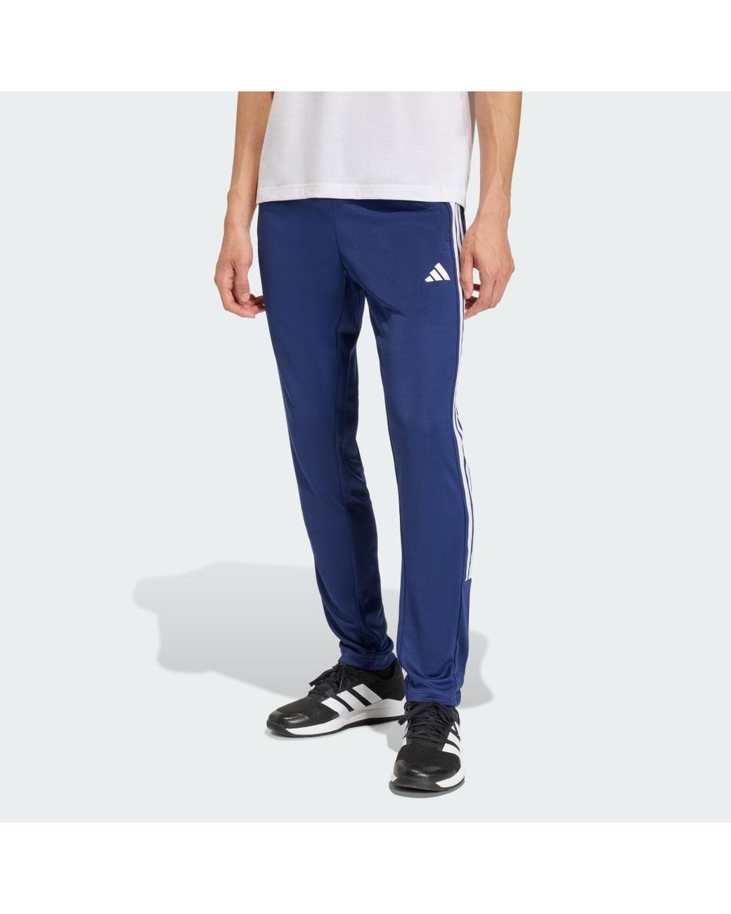 Adidas Blue Workout Essentials All-Set 3-Stripes Knit Pant for men