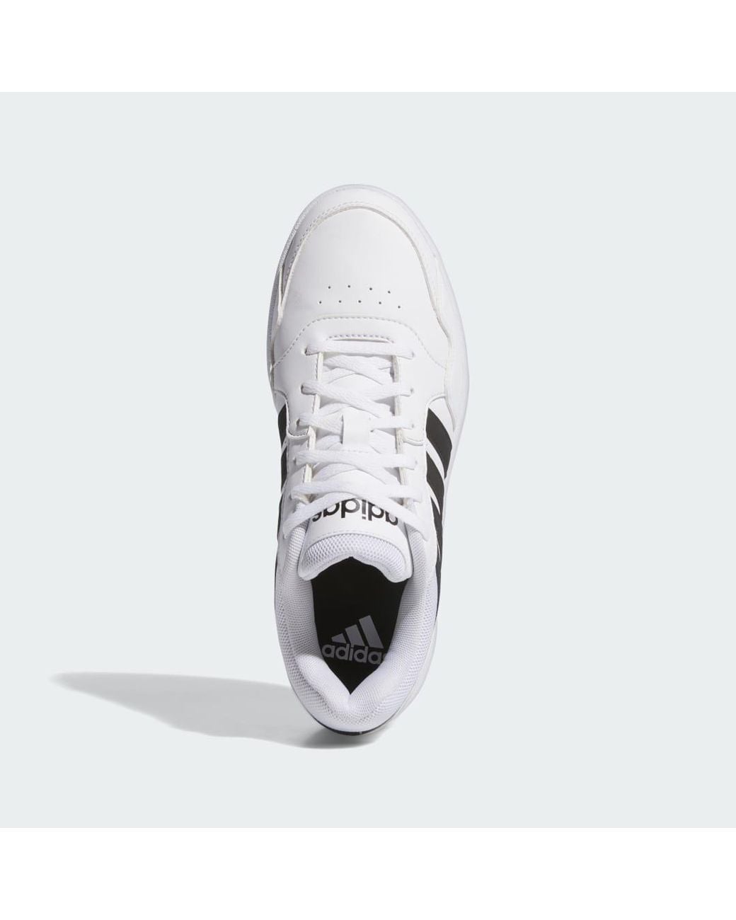 Adidas White Hoops 3.0 Bold Shoes