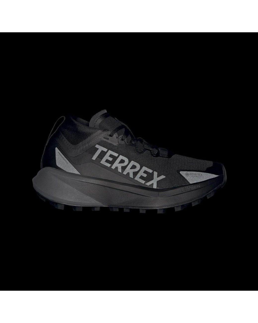 Adidas Black Terrex Agravic Gtx Trail Running Shoes