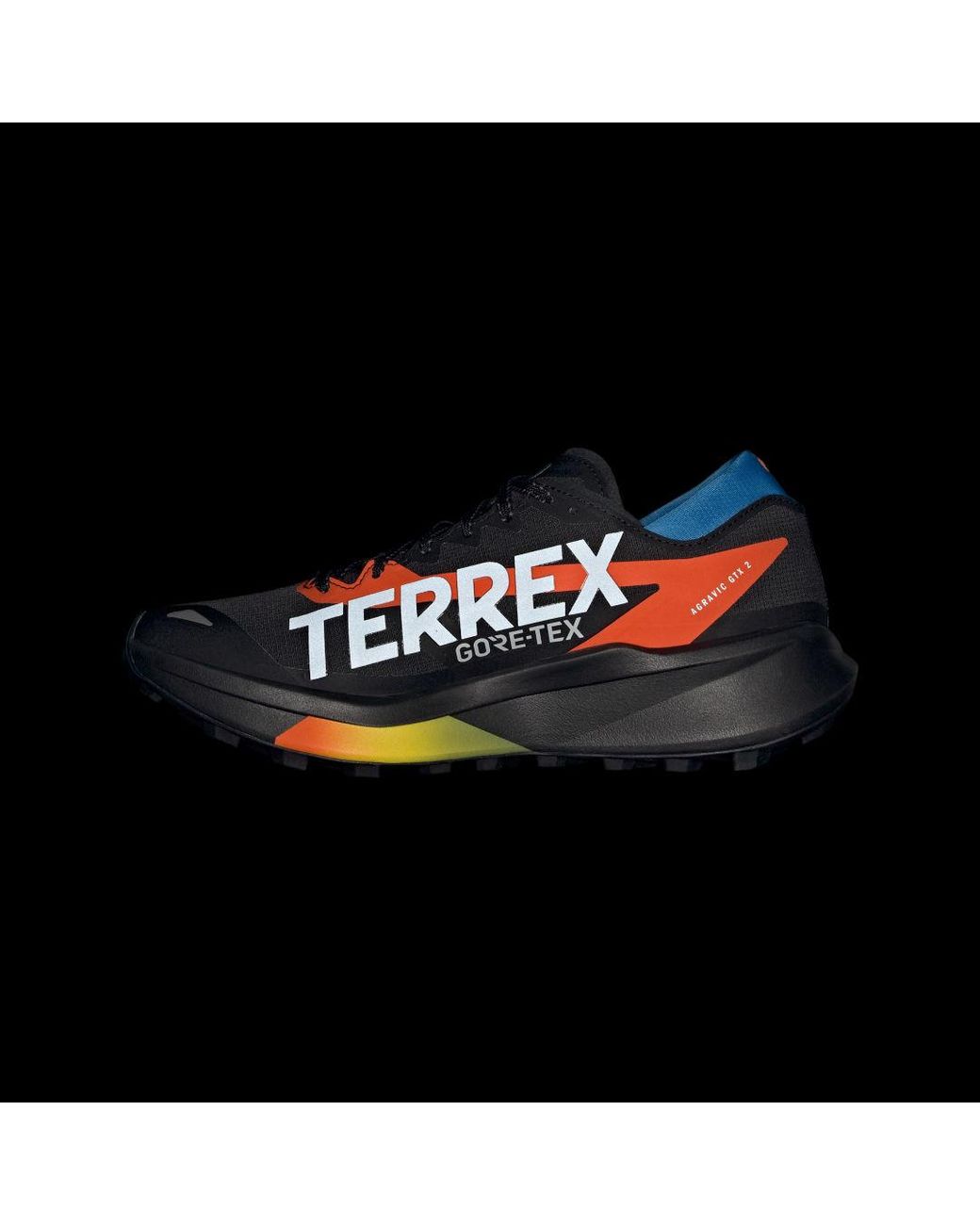 Adidas Blue Terrex Agravic Gtx 2 Trail Running Shoes for men