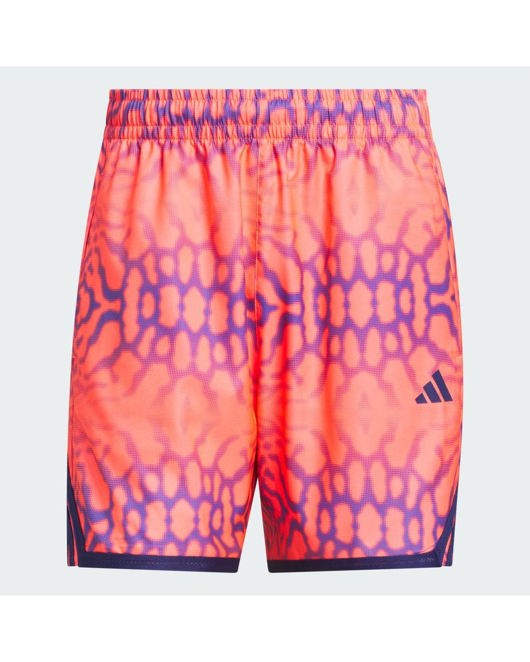 Adidas Pink Crazylite Graphic Short for men