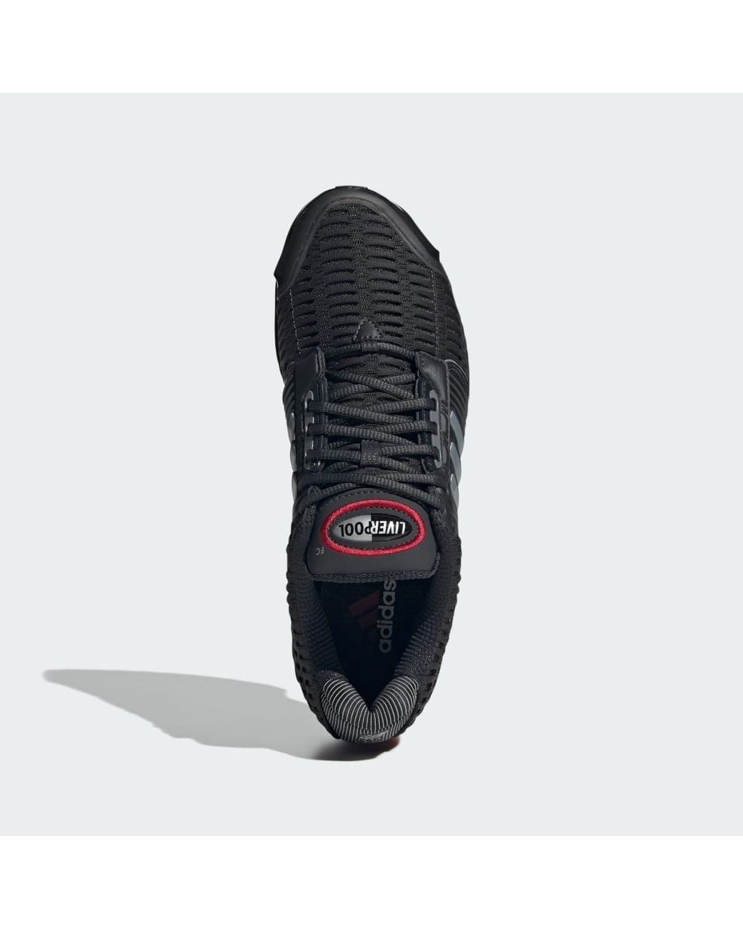 Adidas Blue Liverpool Fc Climacool 1 Shoes