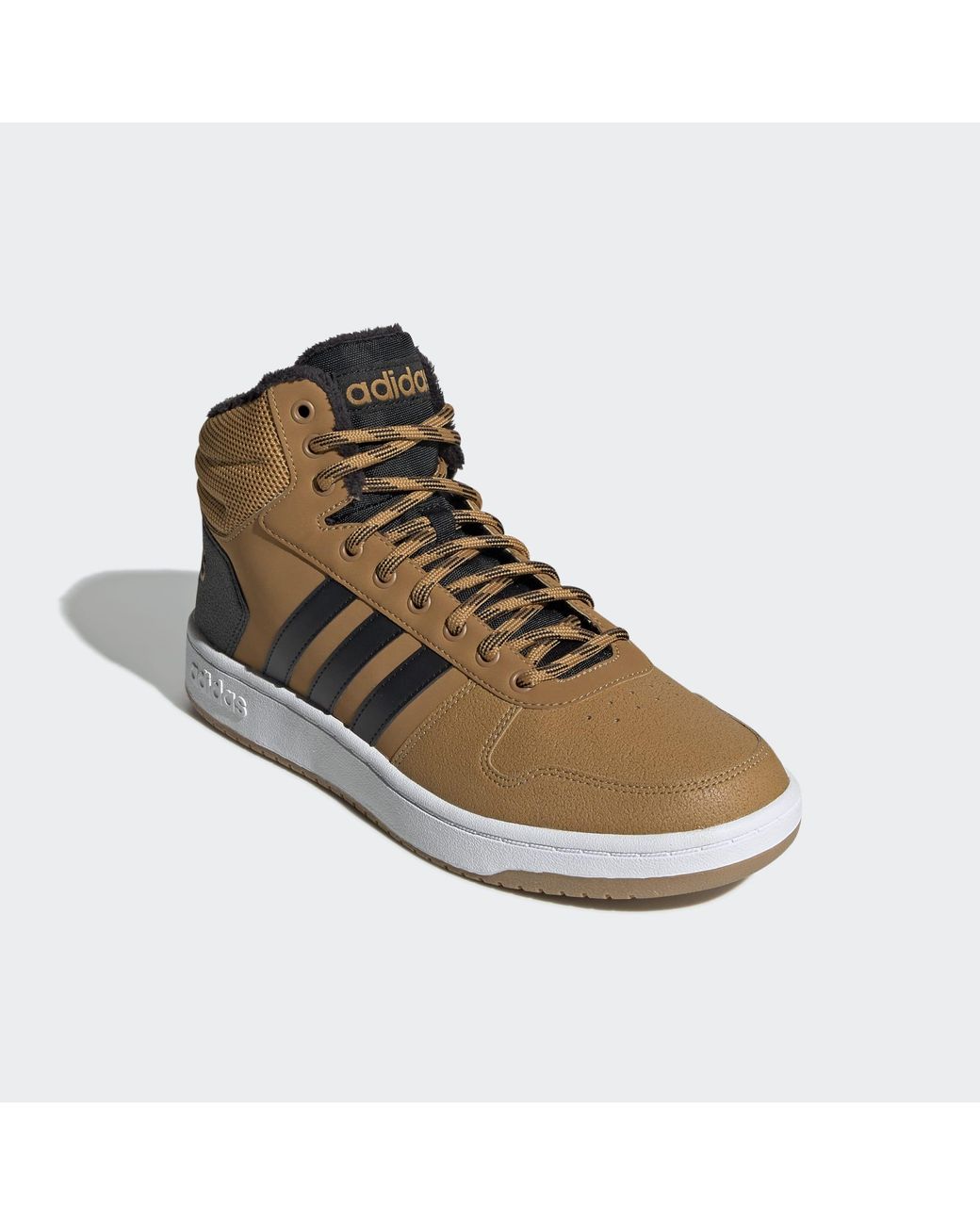 hoops 2.0 mid winter