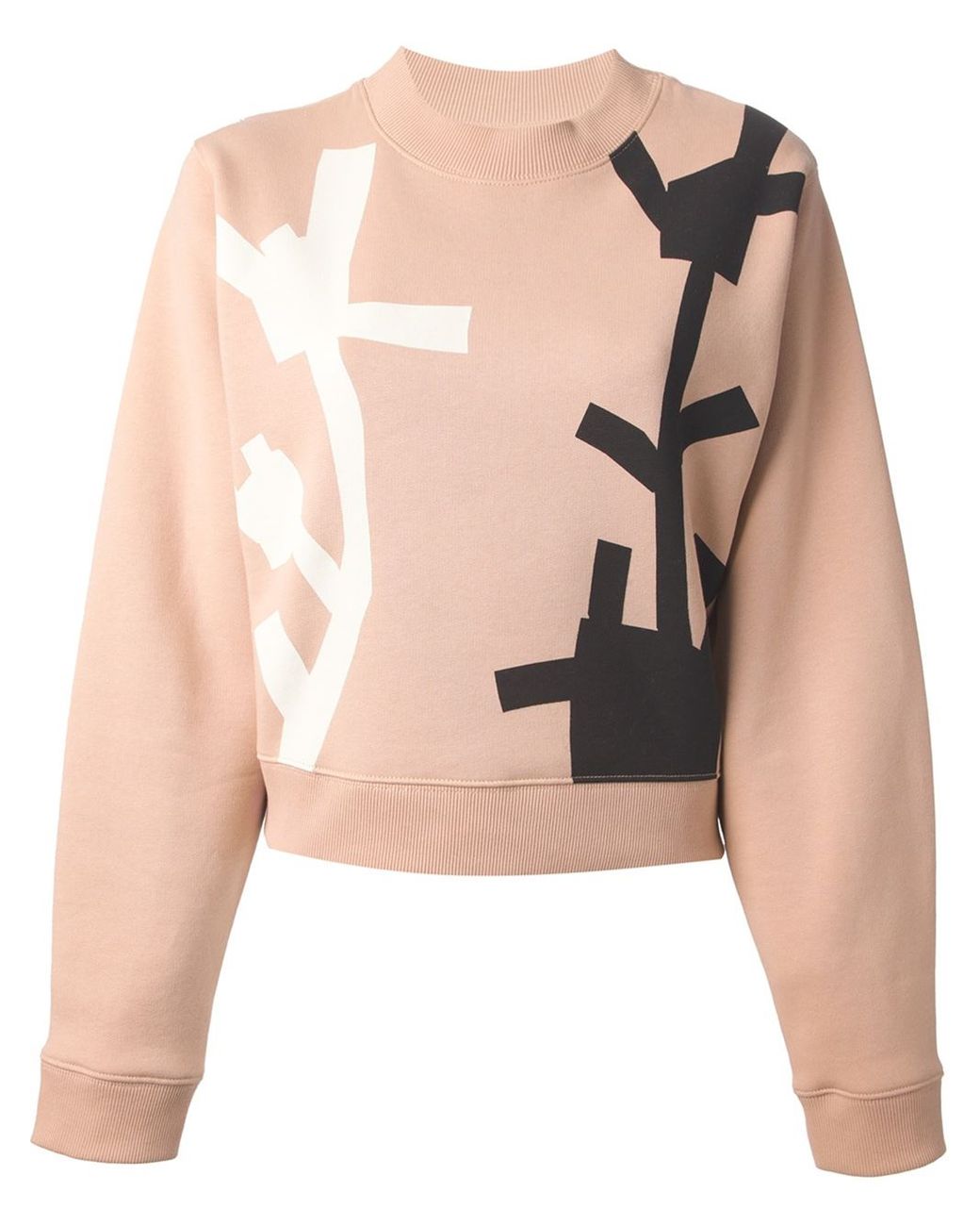 Acne Studios Bird Flower Print Sweatshirt in Pink | Lyst