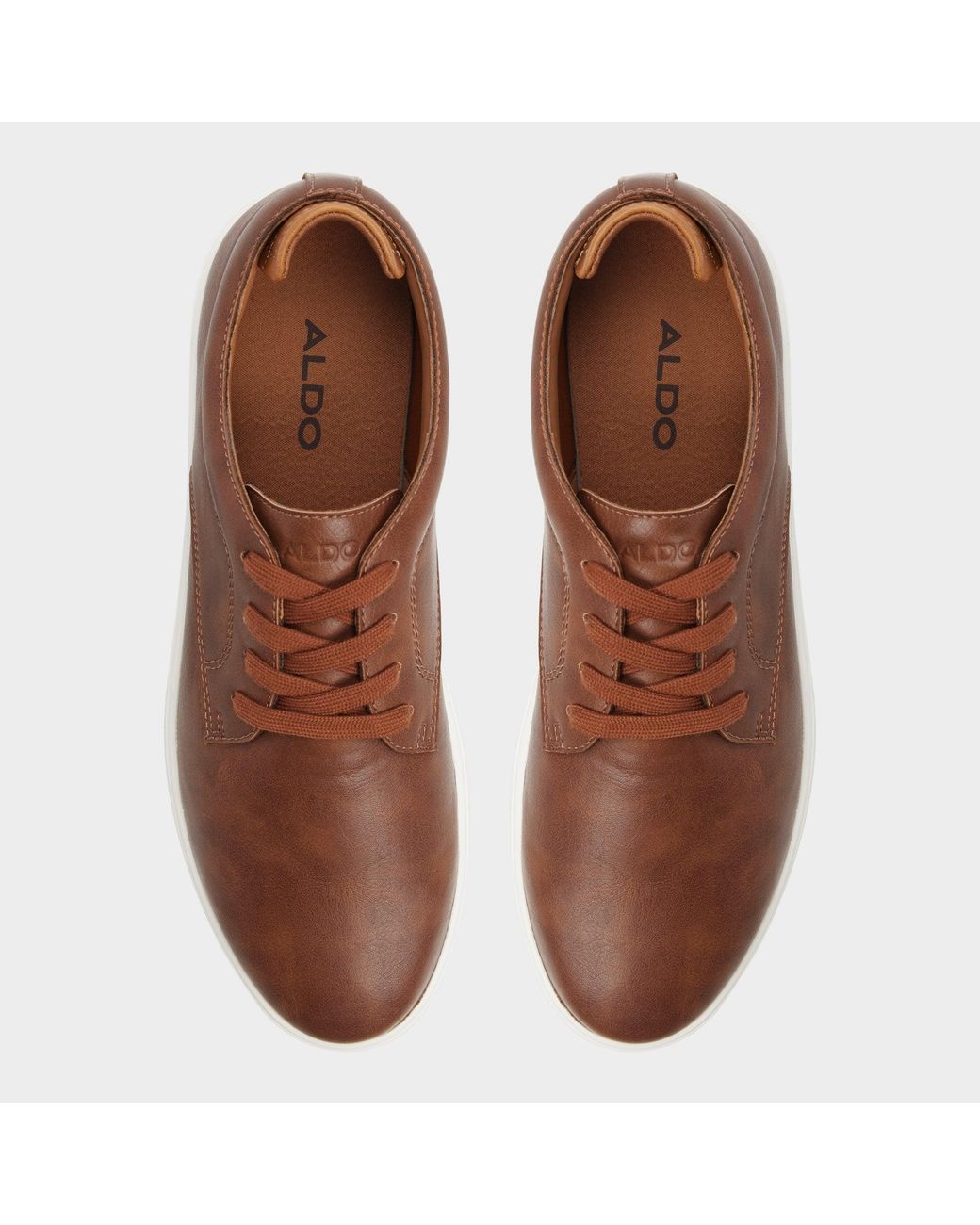 ALDO Brown Ted – – for men