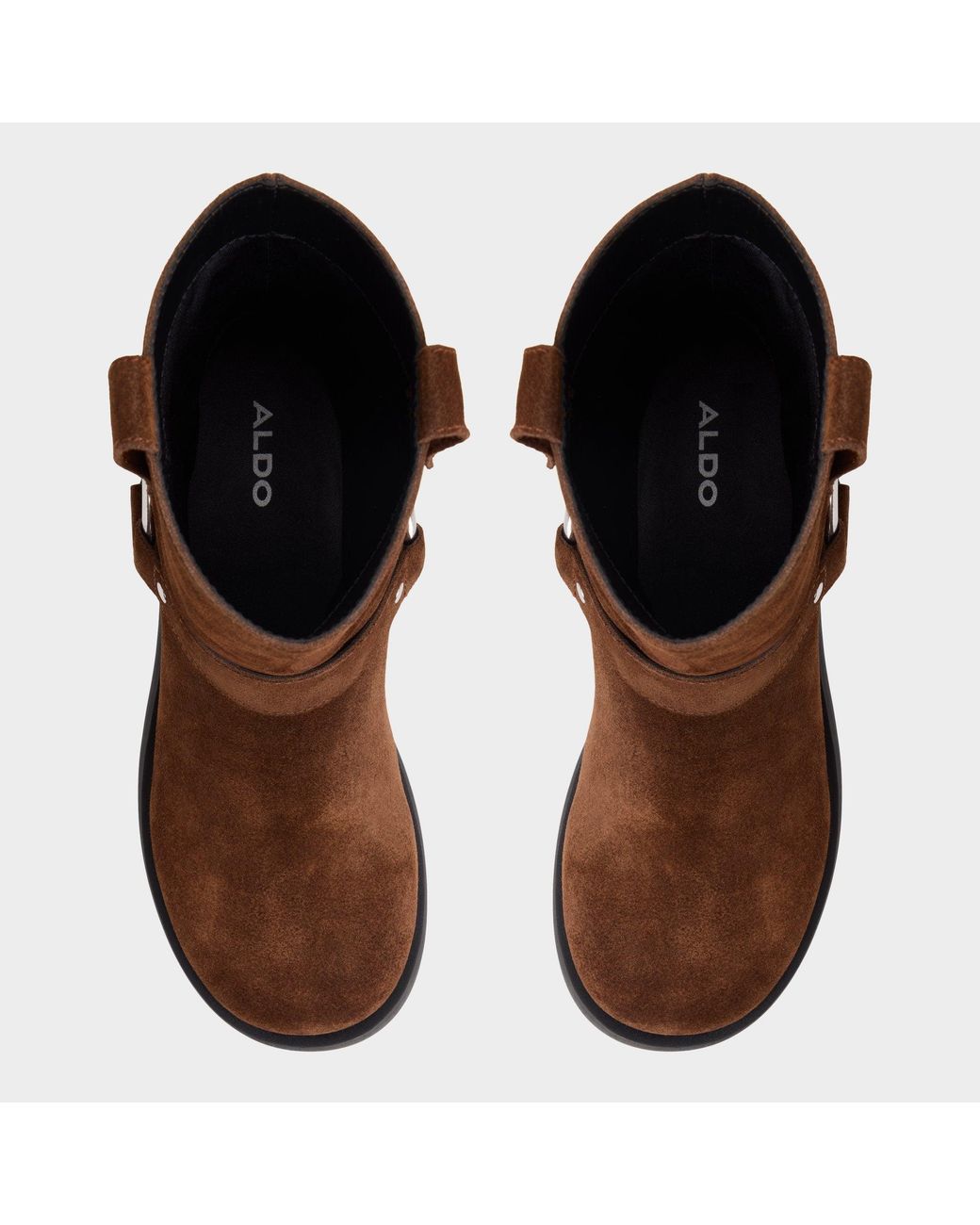 ALDO Brown Notorious