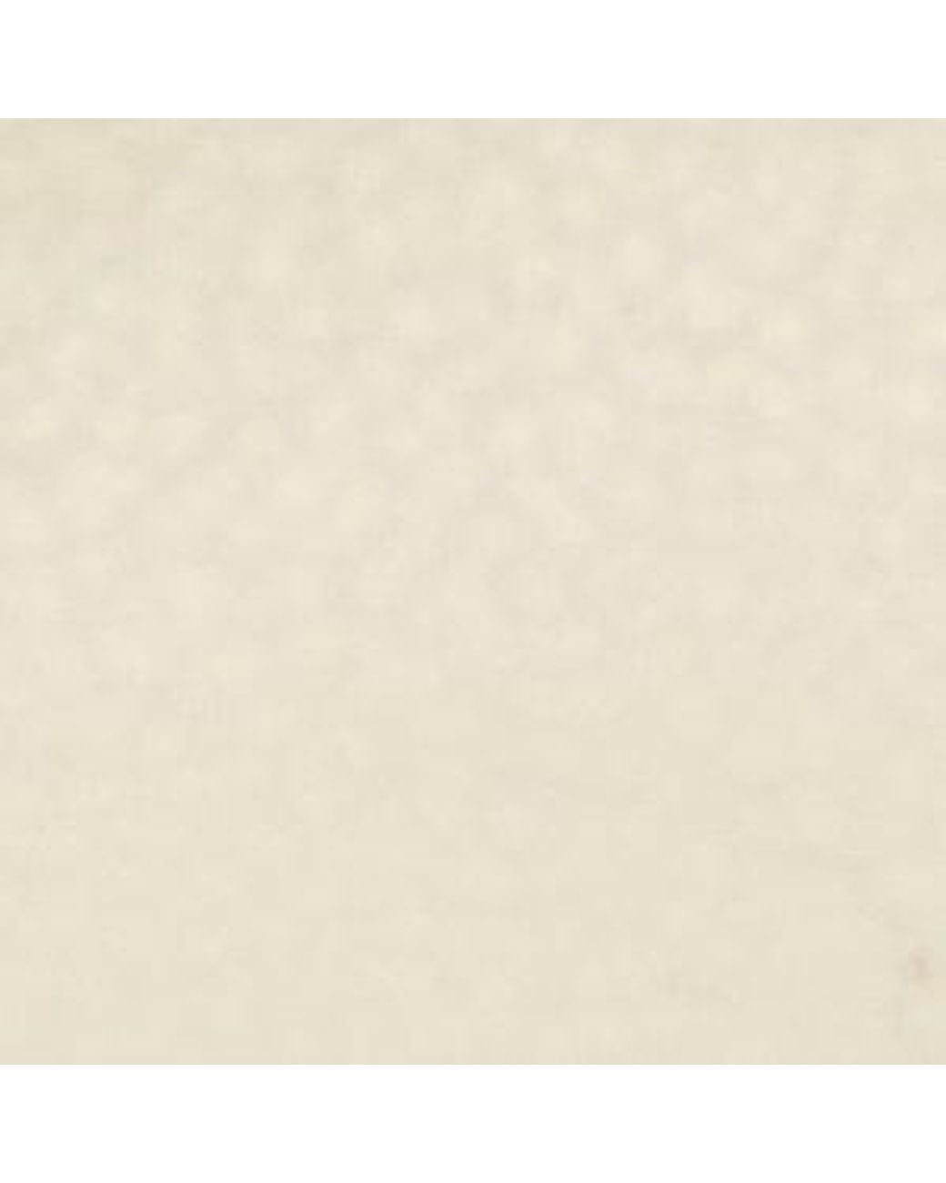 ALDO White Dorsaysling – –