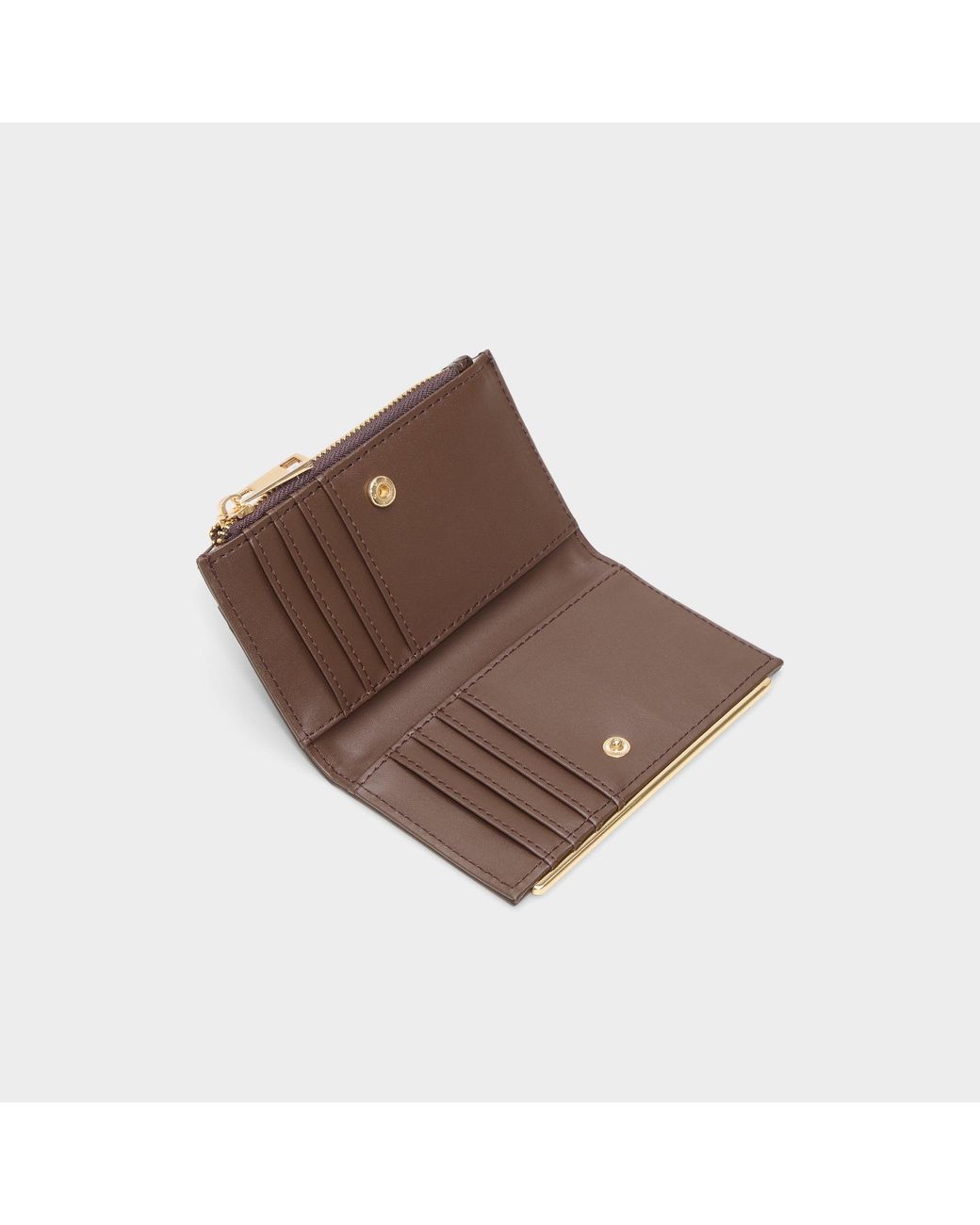 ALDO Brown Mereclyaa –