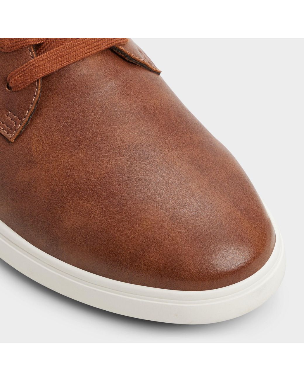 ALDO Brown Ted – – for men