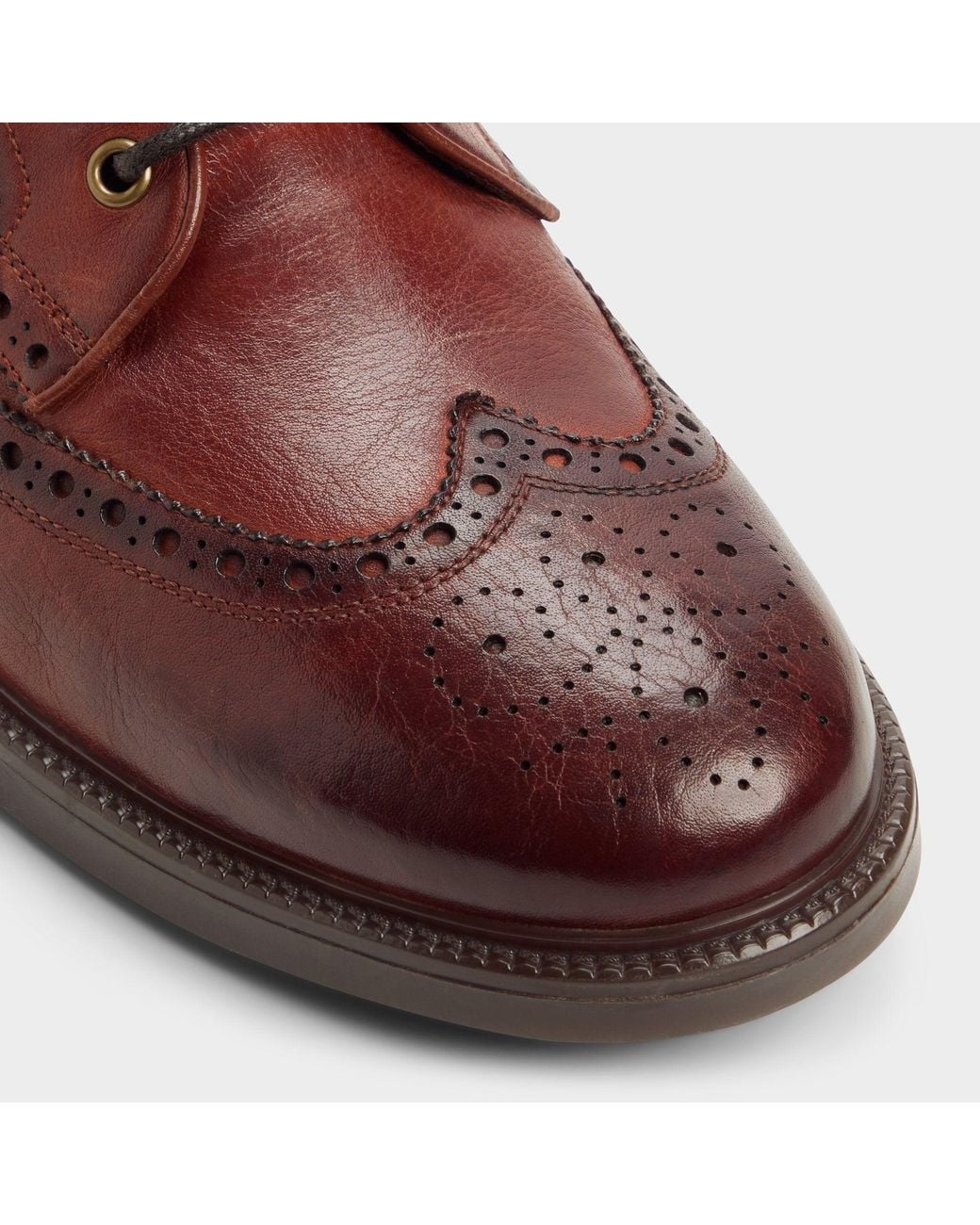 ALDO Brown Colombo – – for men