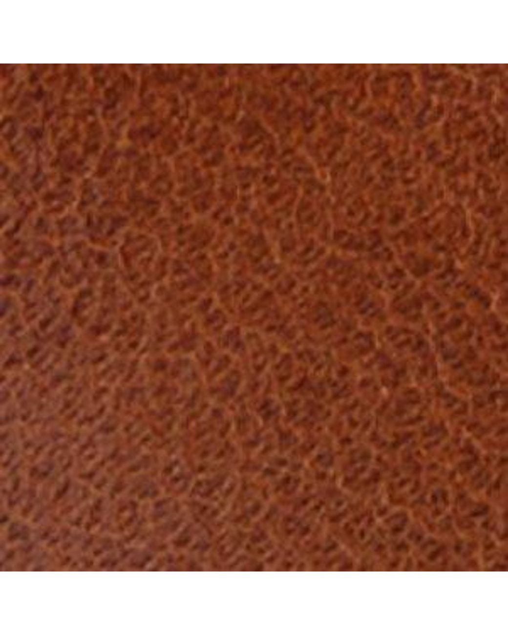 ALDO Brown Ritchie – – for men