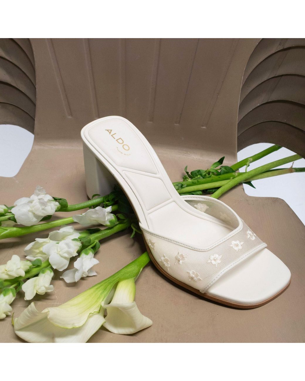 ALDO Natural Lisarae