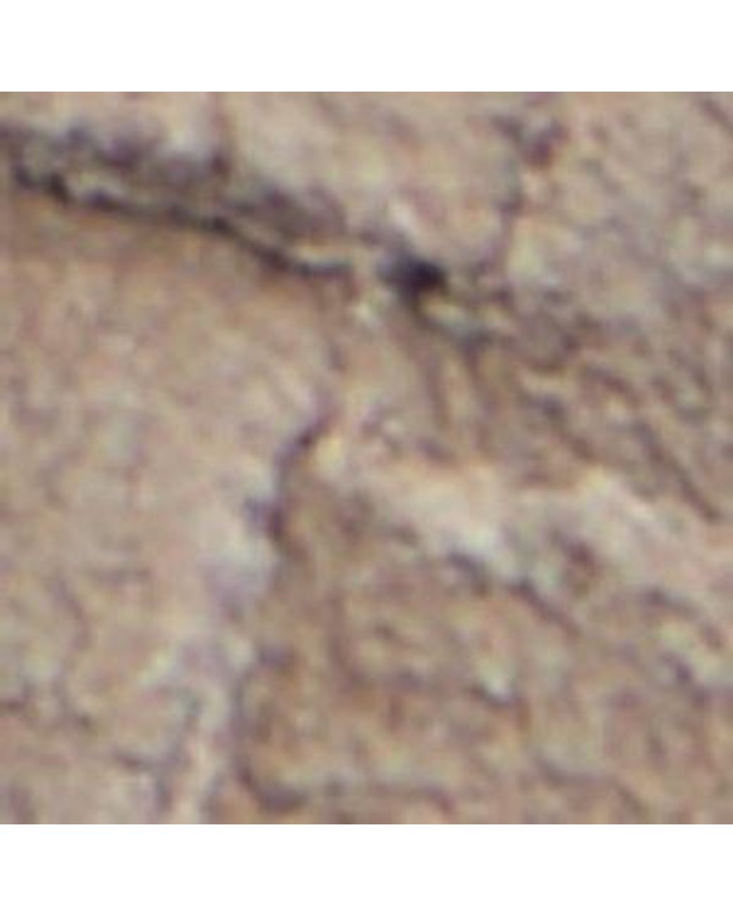 ALDO Natural Carmo for men