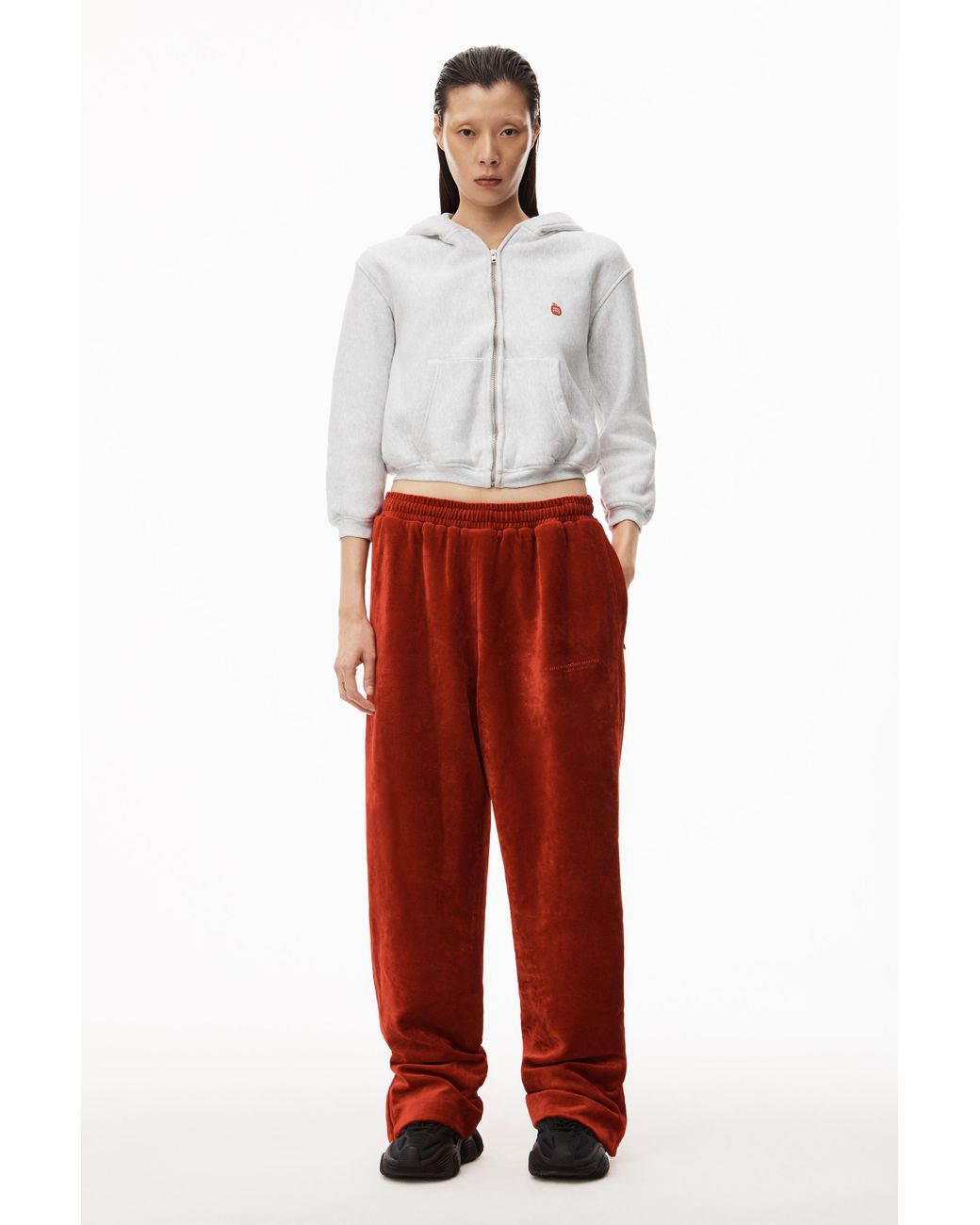 アレキサンダーワン　アップルロゴフーディー ALEXANDER WANG ジップアップフーディ アップルロゴ入り