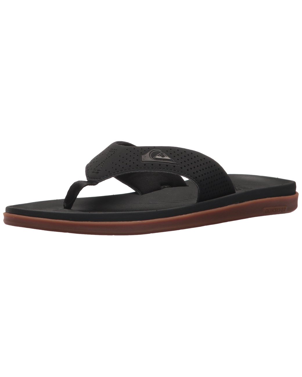 haleiwa plus