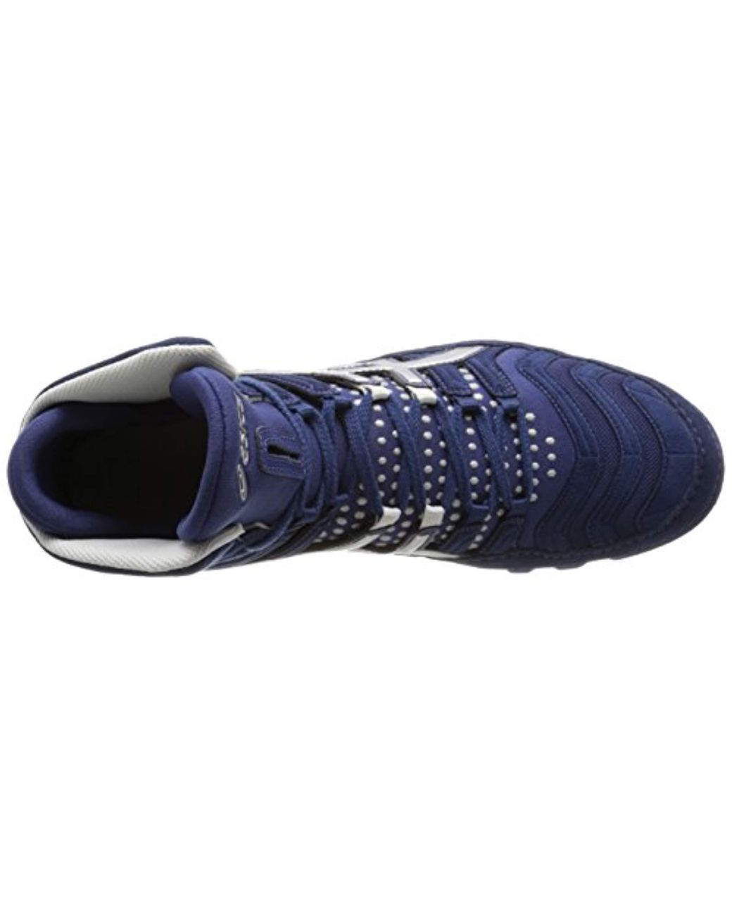 dan gable ultimate 4