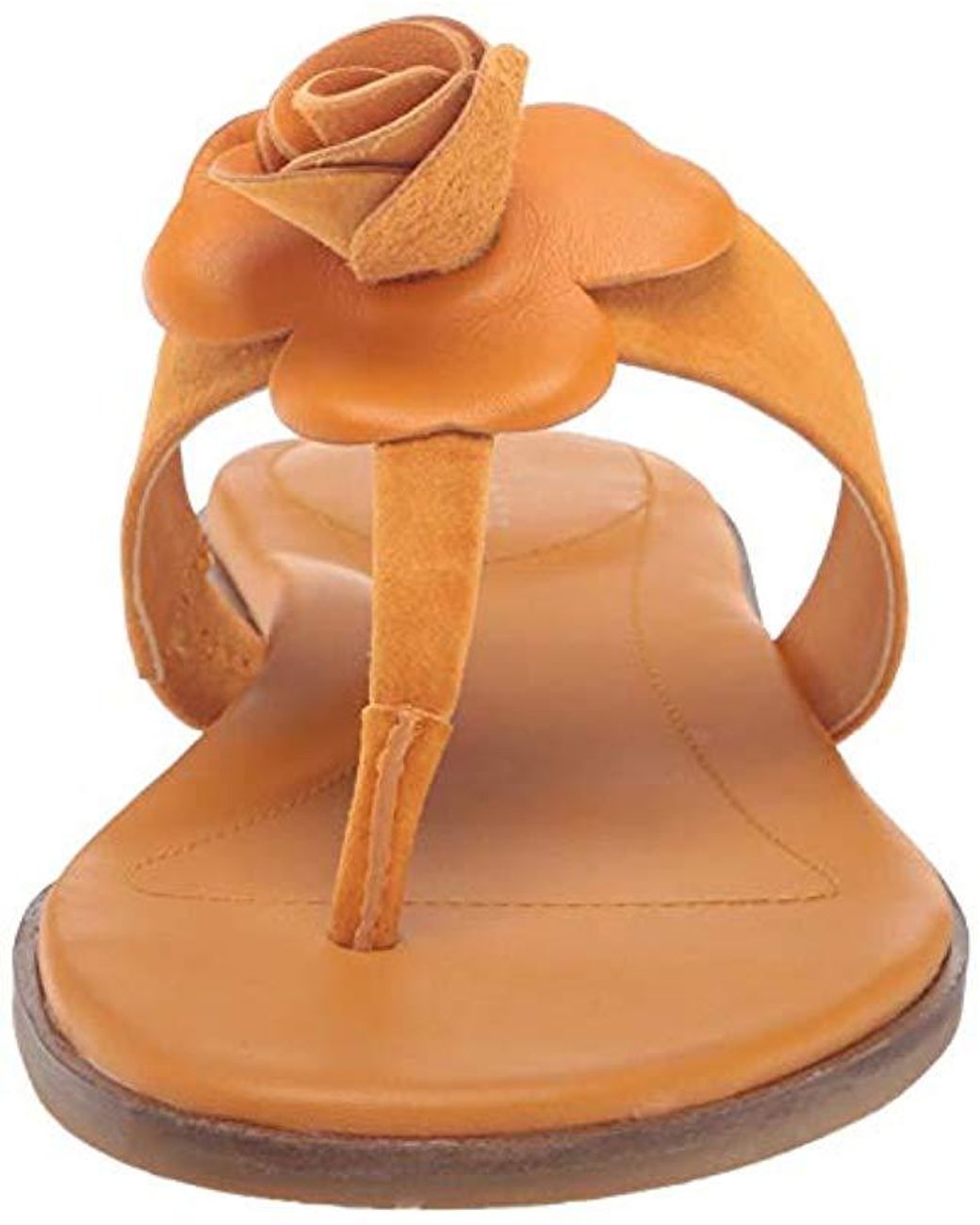 taryn rose sandals