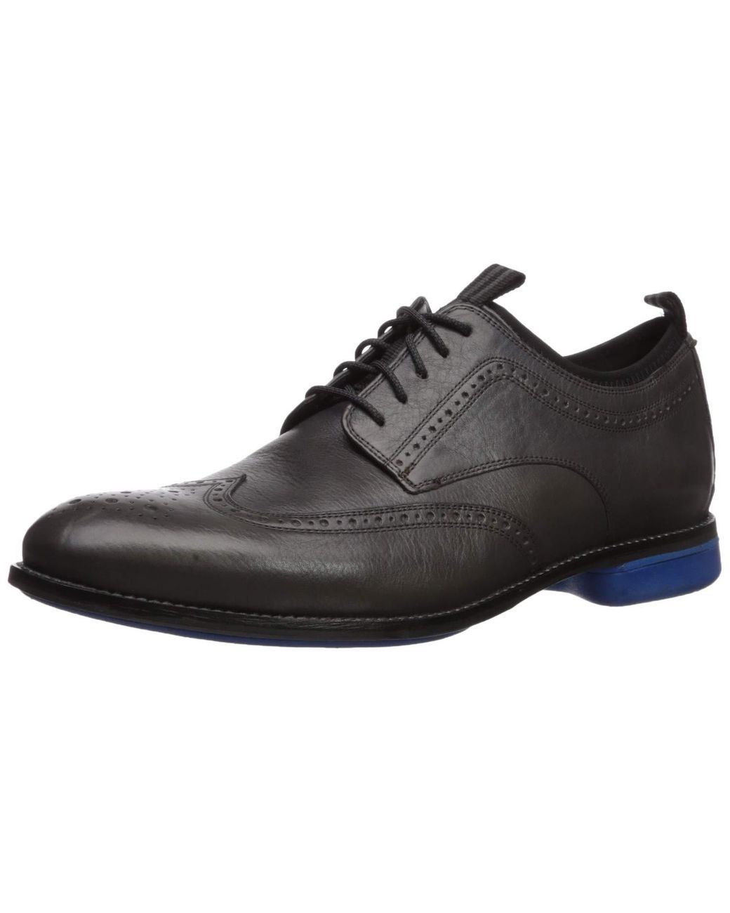holland long wing oxford