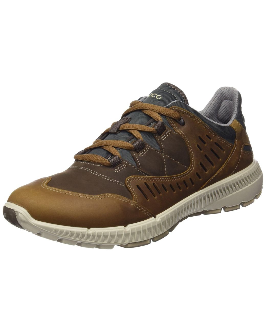 ecco terrawalk