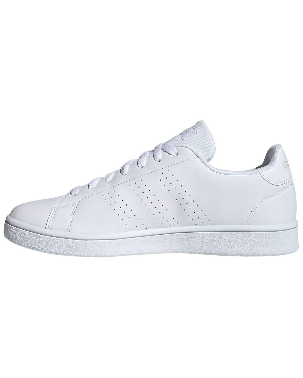 adidas advantage raw white