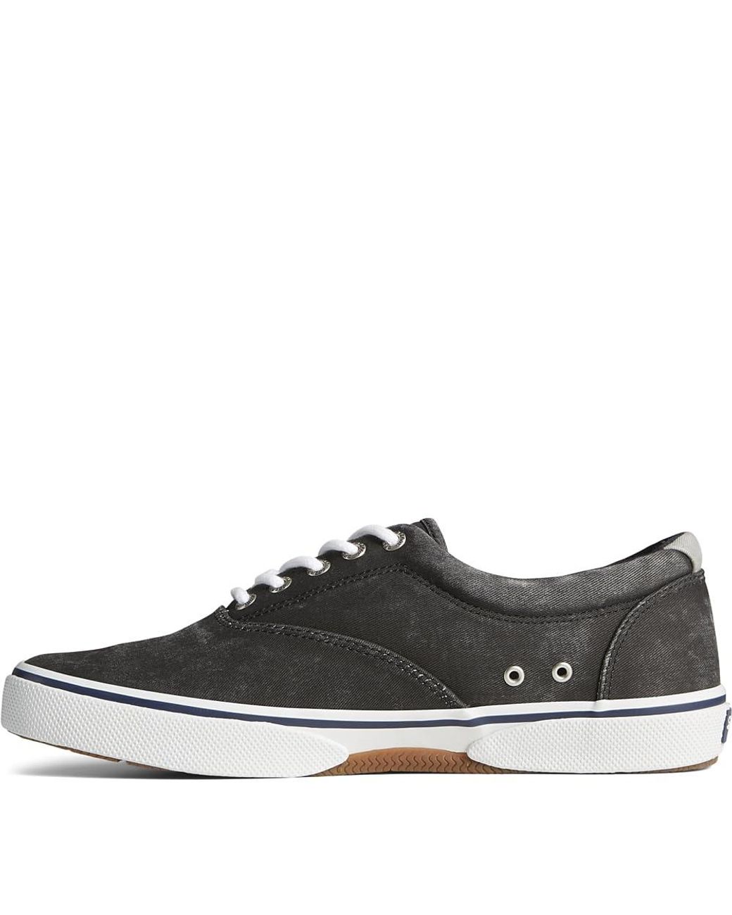 Sperry 2024 halyard black