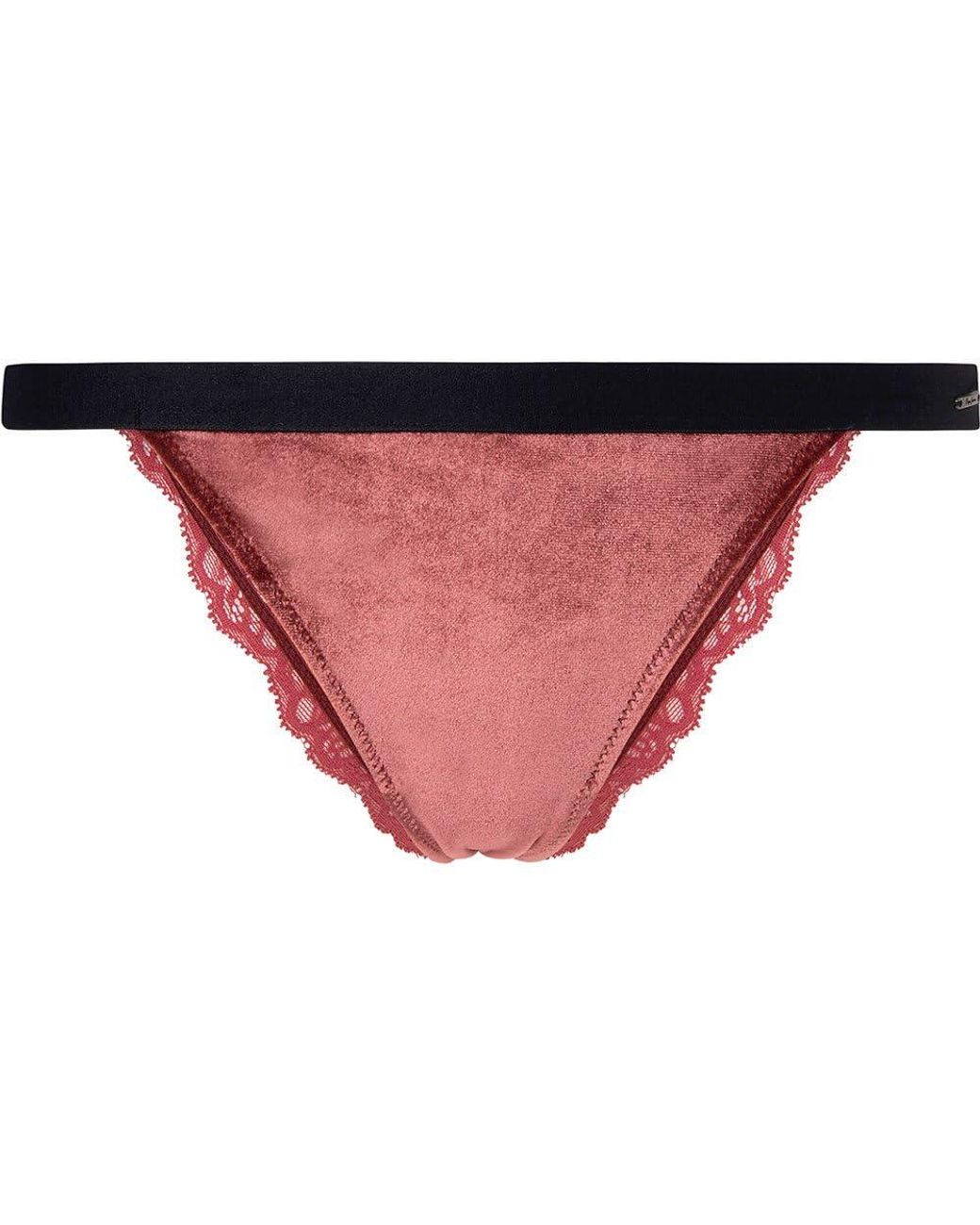 Pepe Jeans Velvet Bikini Style Underwear in Pink | Lyst UK