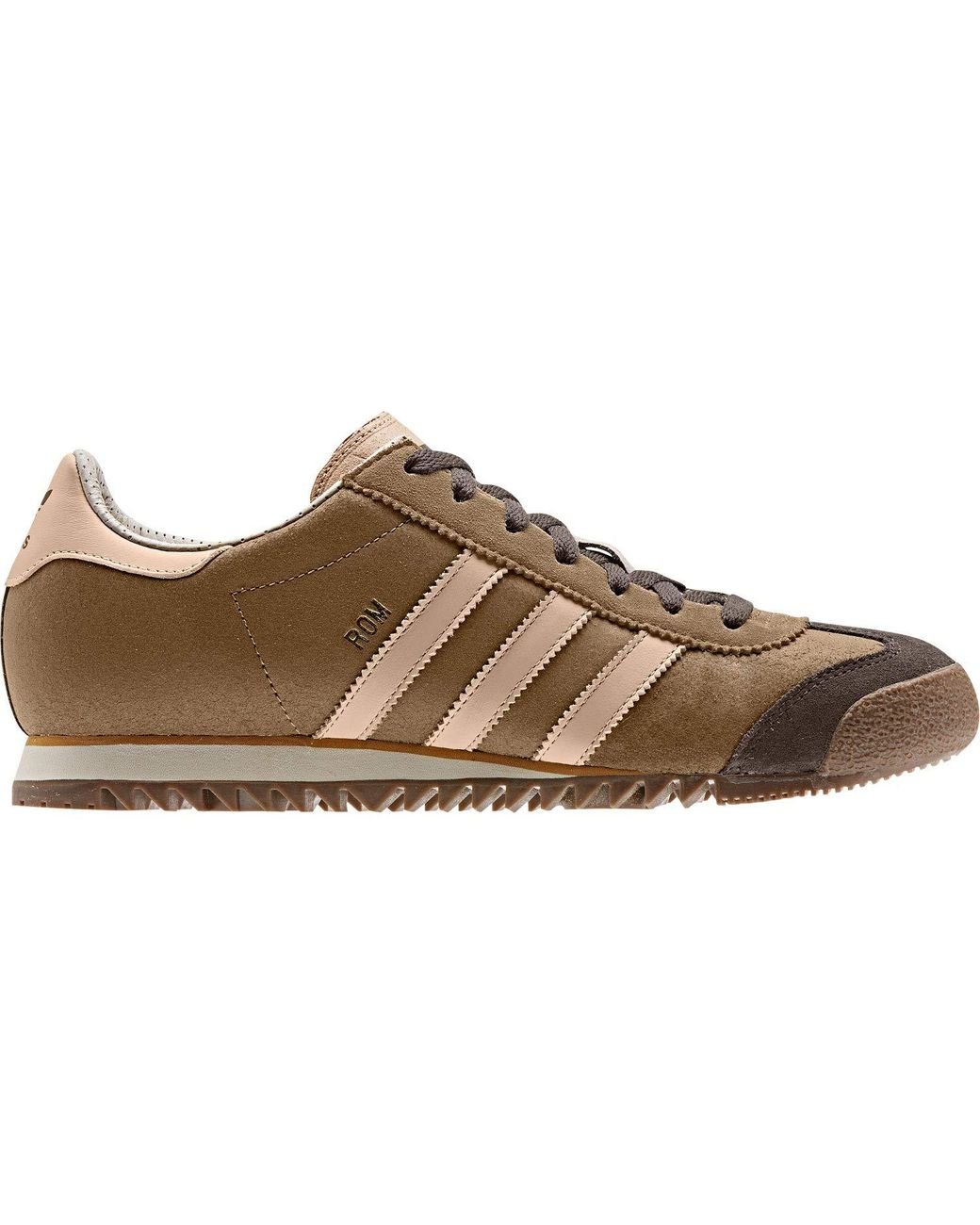 adidas Rom Trainers Raw Deserts/st Pale/brown 11 Uk for Men | Lyst UK