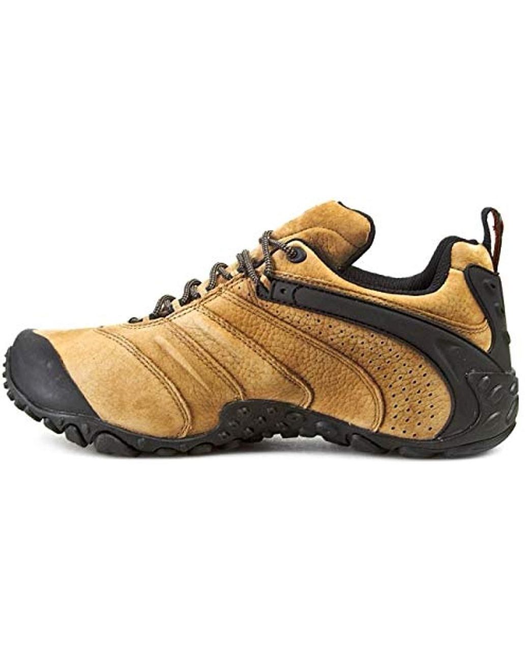 Merrell hot sale chameleon 2