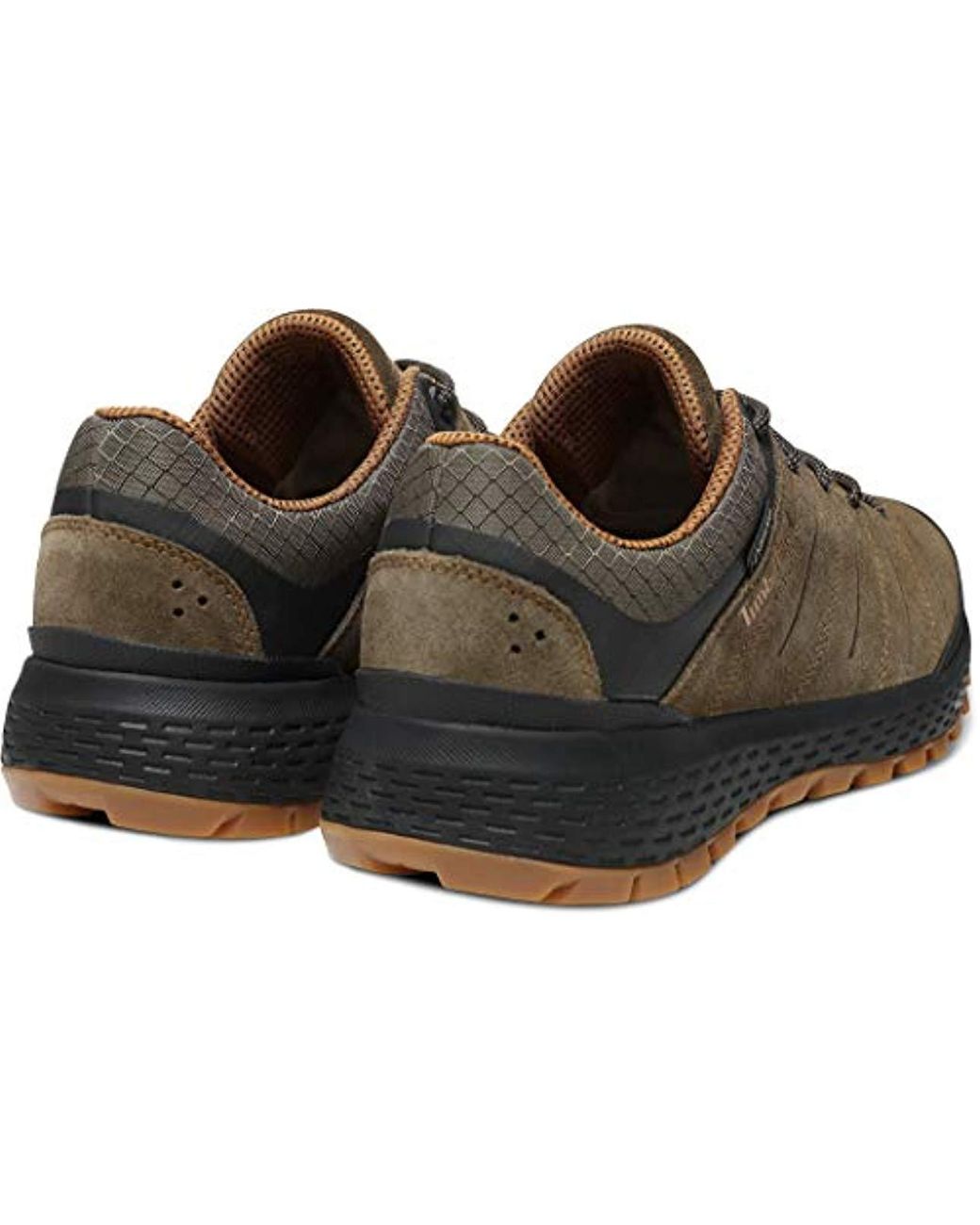 Timberland Parker Ridge Low Gtx Shoes Grape Leaf Shoe Size Us 11 | Eu 45  2019 for Men | Lyst UK